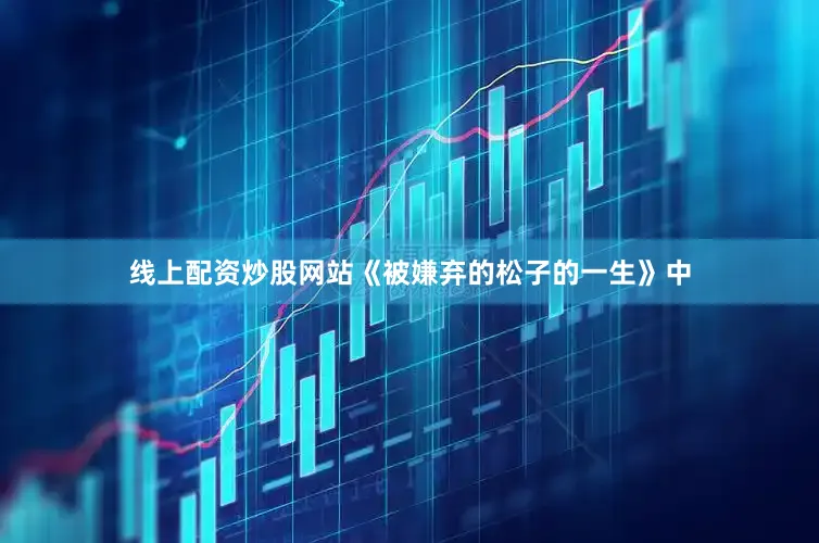 线上配资炒股网站《被嫌弃的松子的一生》中
